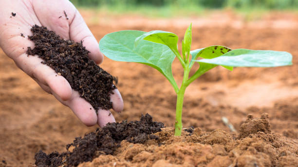 Fertilizer Industry